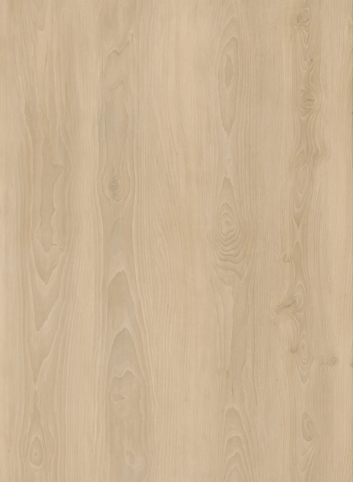 JL6001BT Product