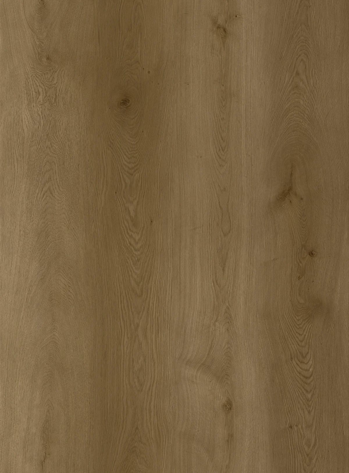 JL6002BT Product