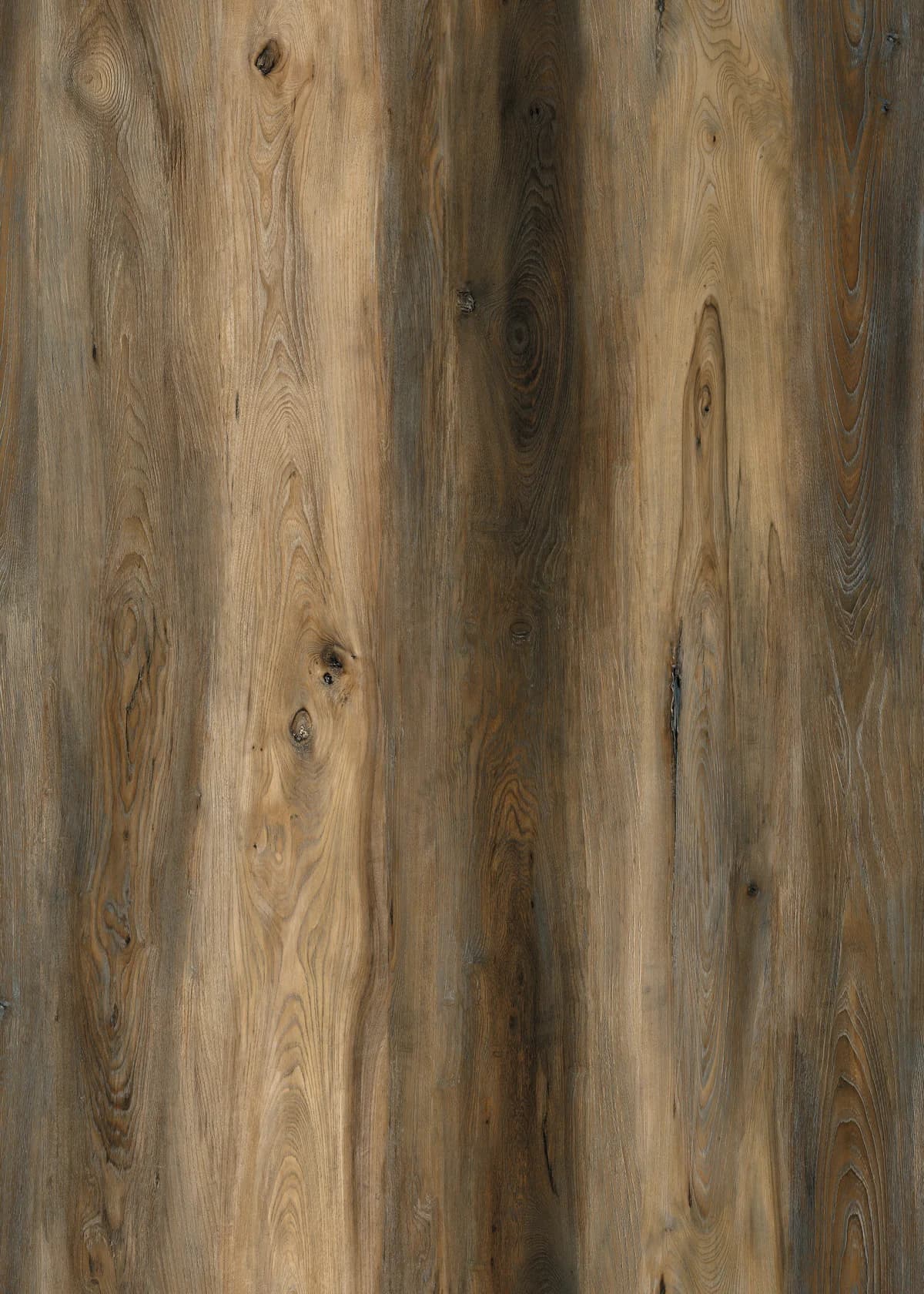 JL6003BT Product