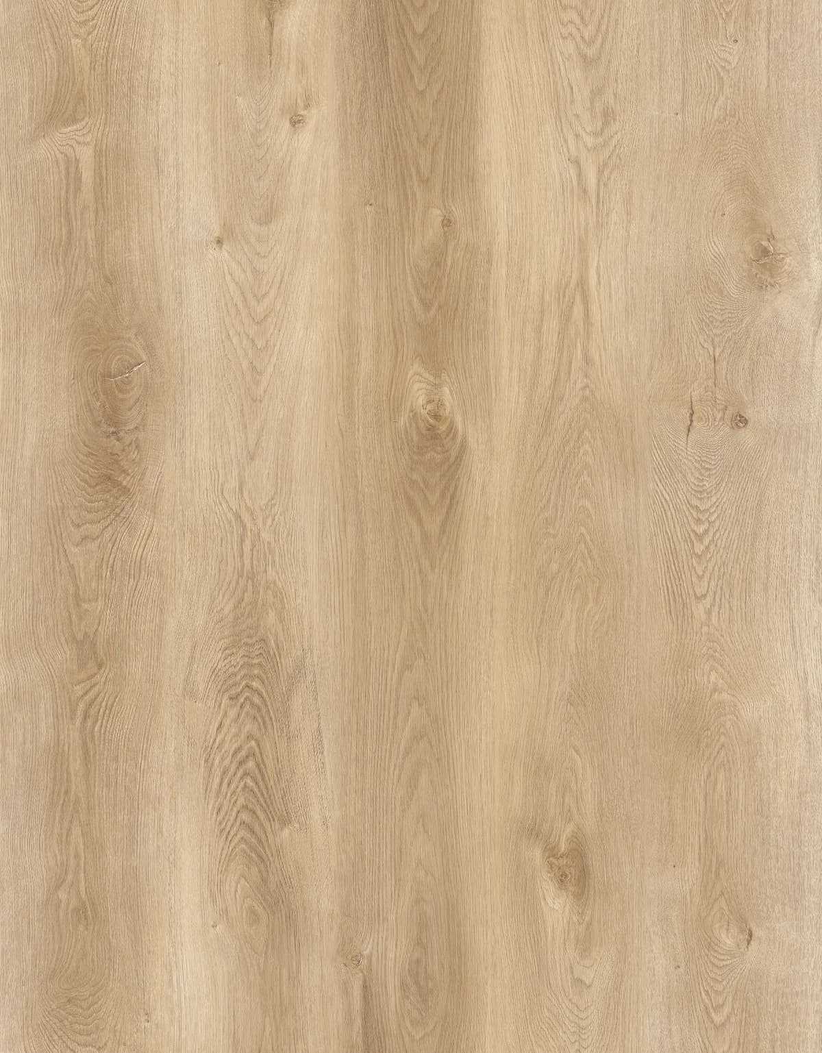 JL6004BT Product