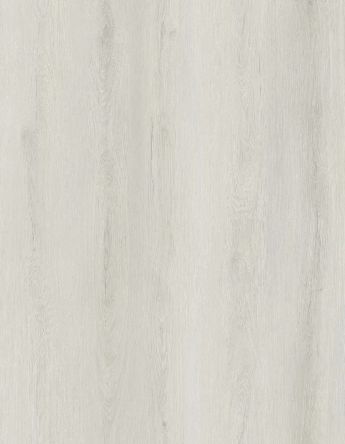 JL6005BT Product