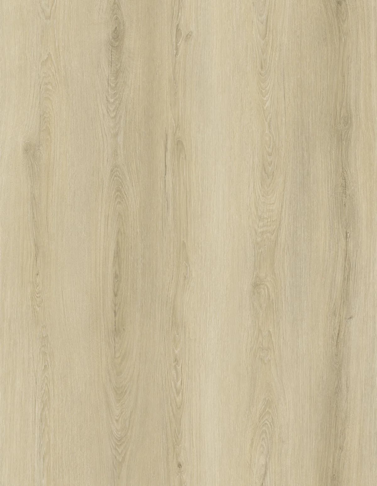 JL6006BT Product