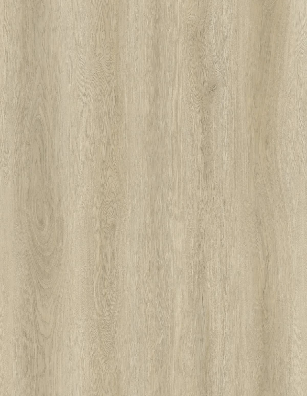 JL8001BT Product