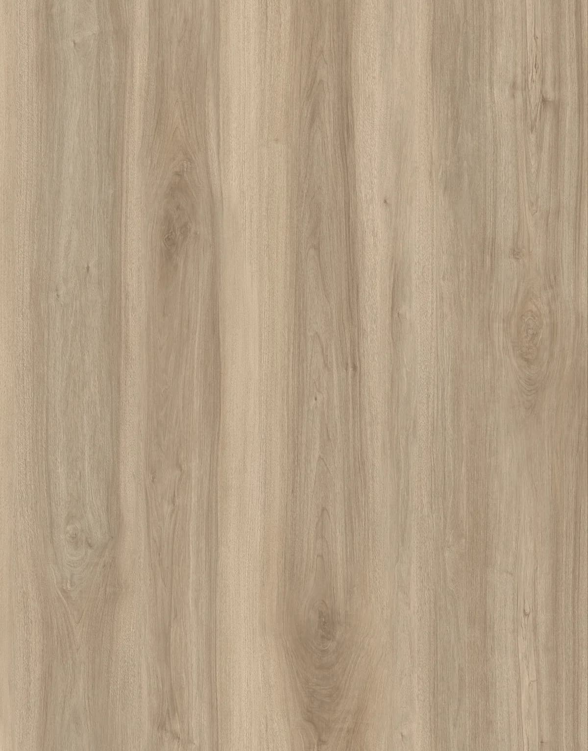 JL8002BT Product
