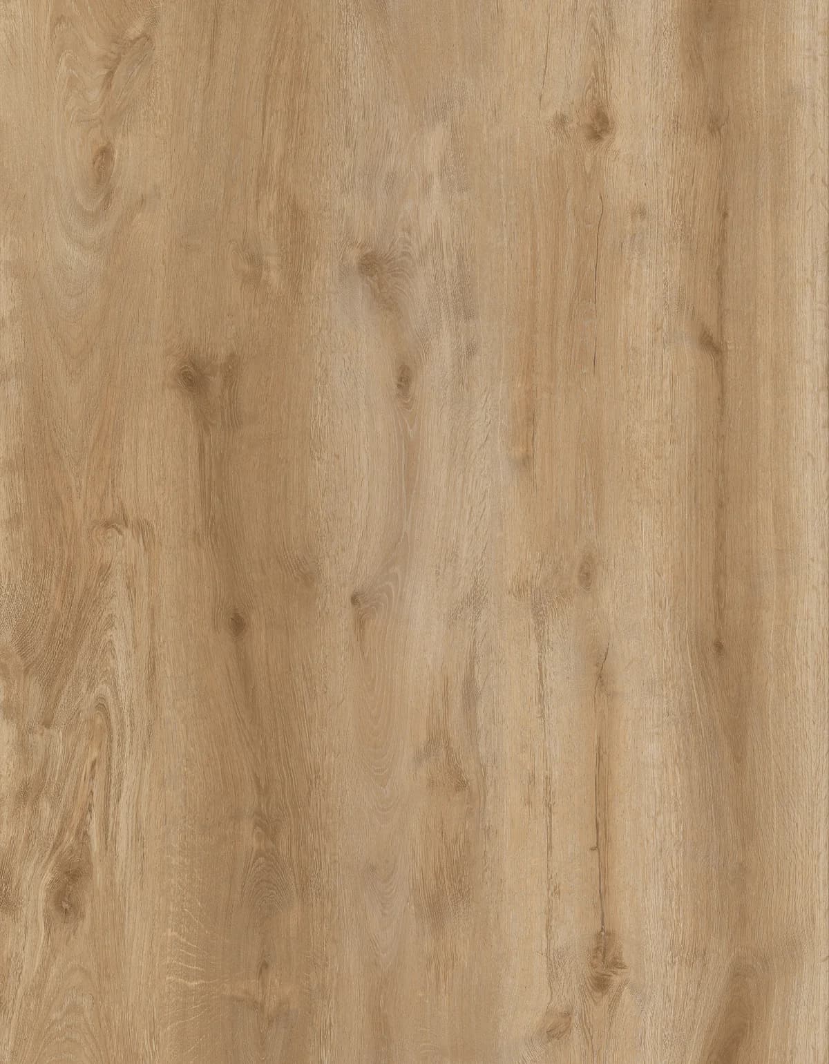 JL8004BT Product