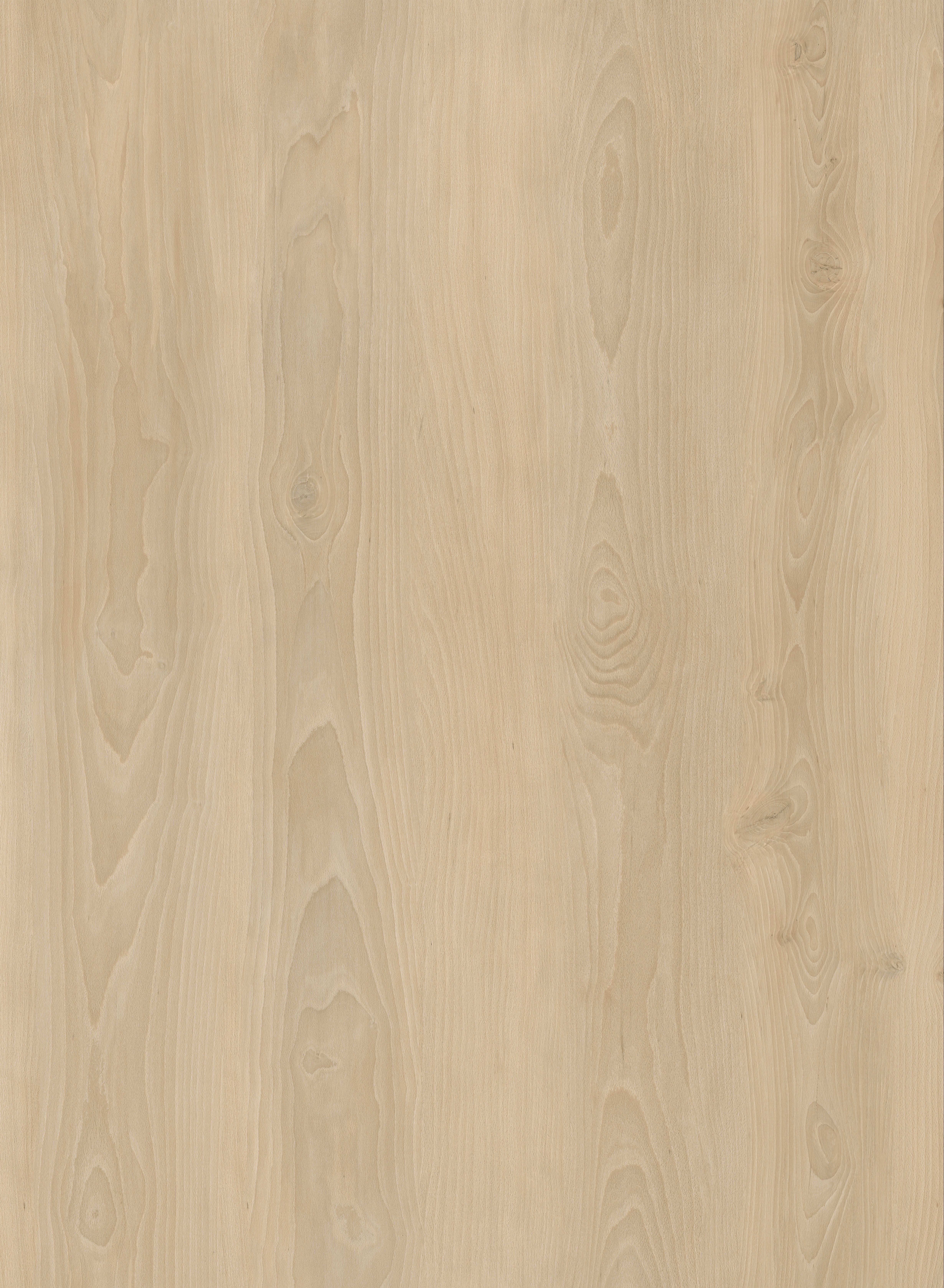 JL6001BT Product
