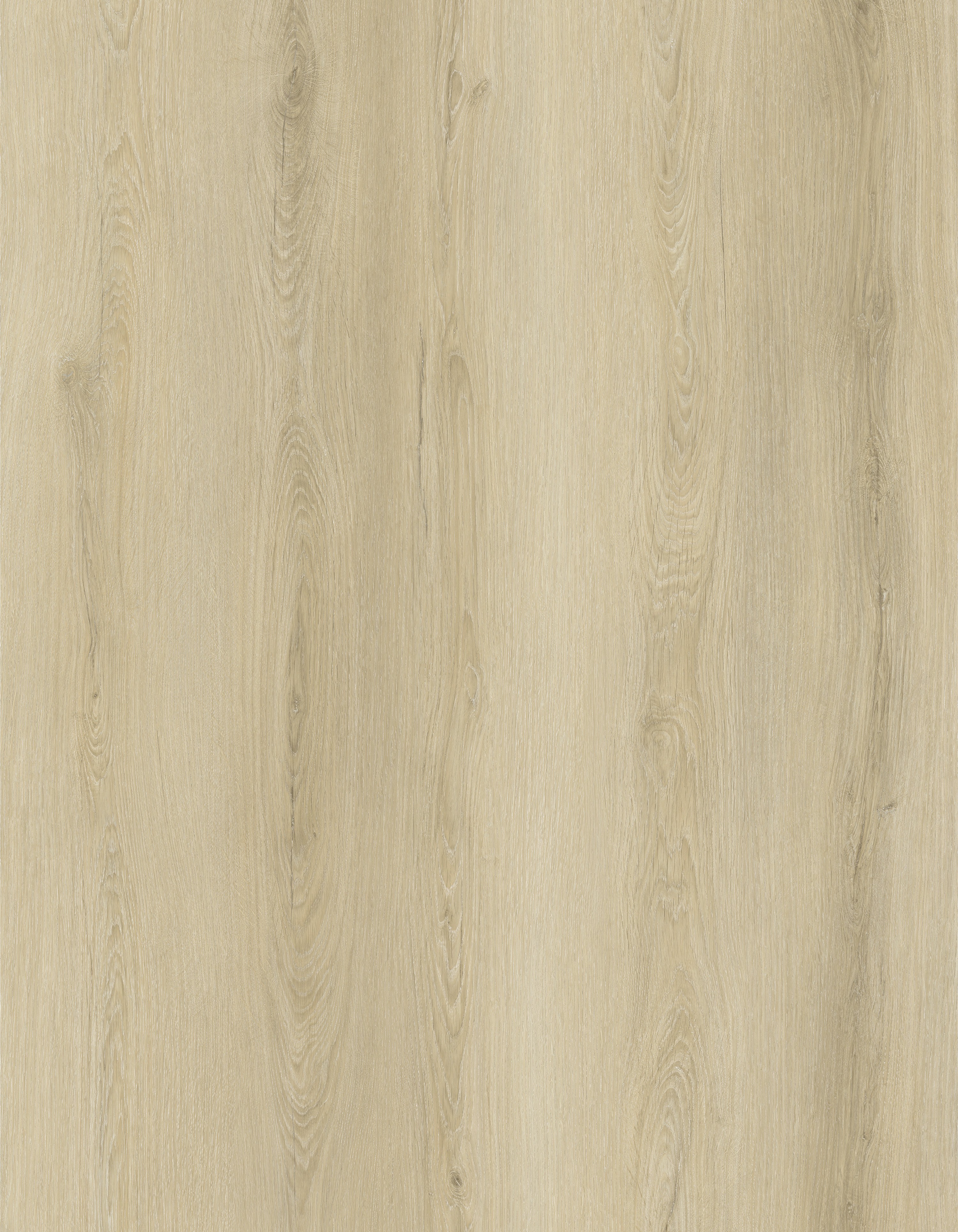 SPC Flooring Sample 1