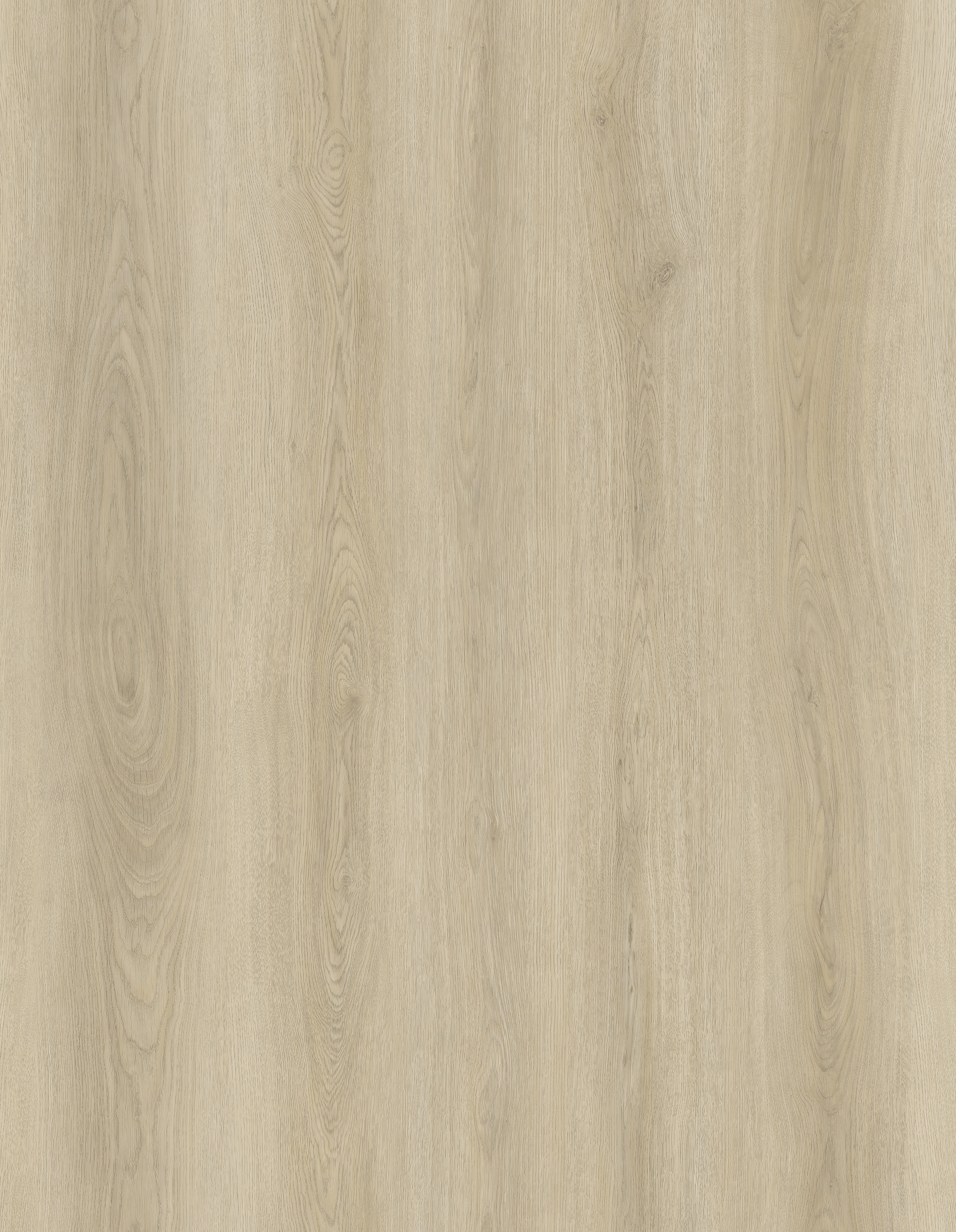 JL8001BT Product