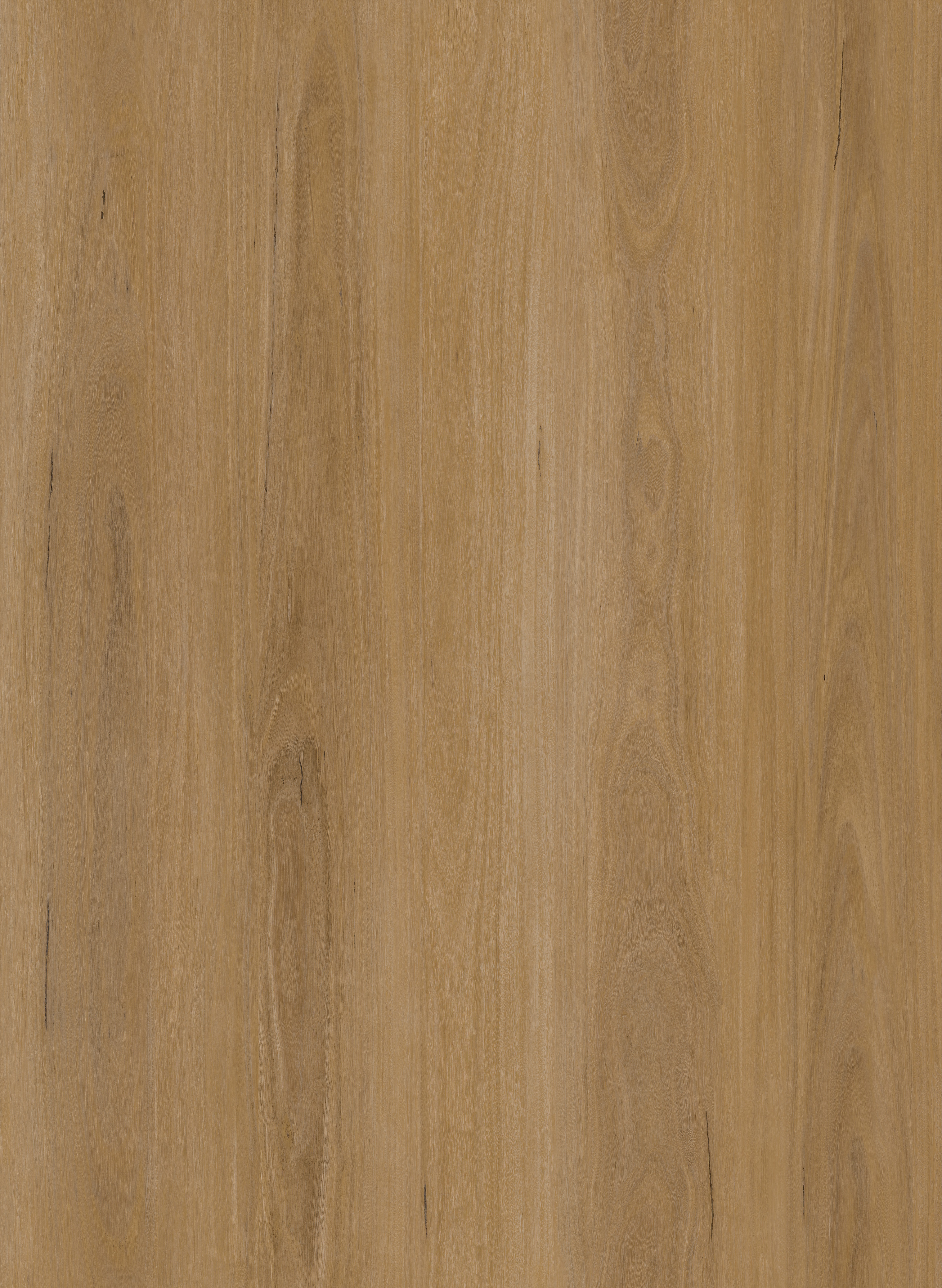 JL8005BT Product
